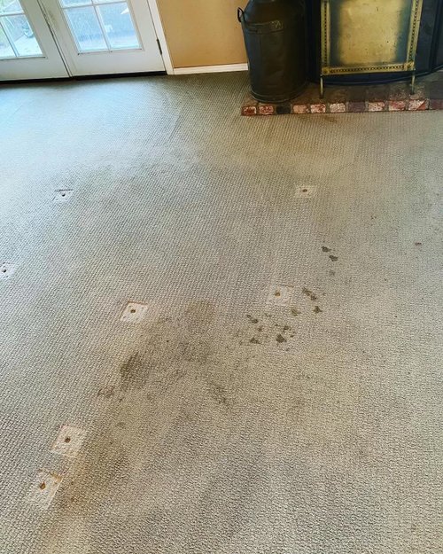 Spot Carpet Cleaning