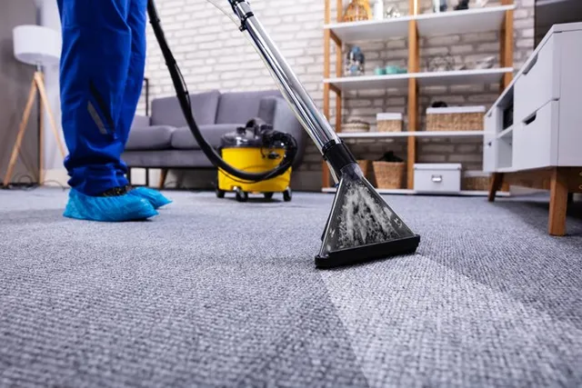 Professional Carpet Cleaner