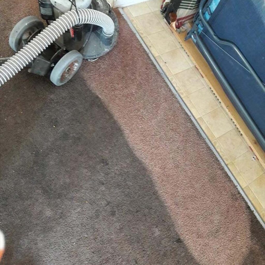 Spot Clean Carpet