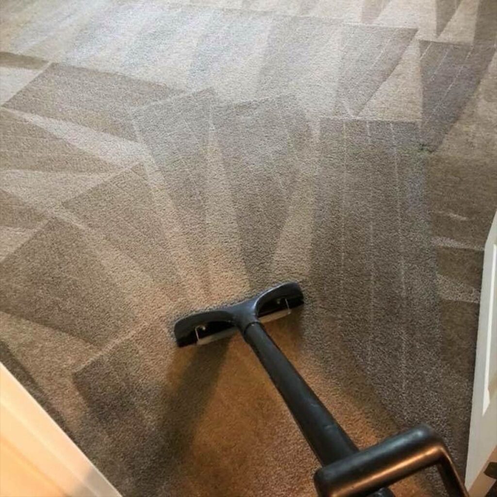 Homemade Carpet Cleaners