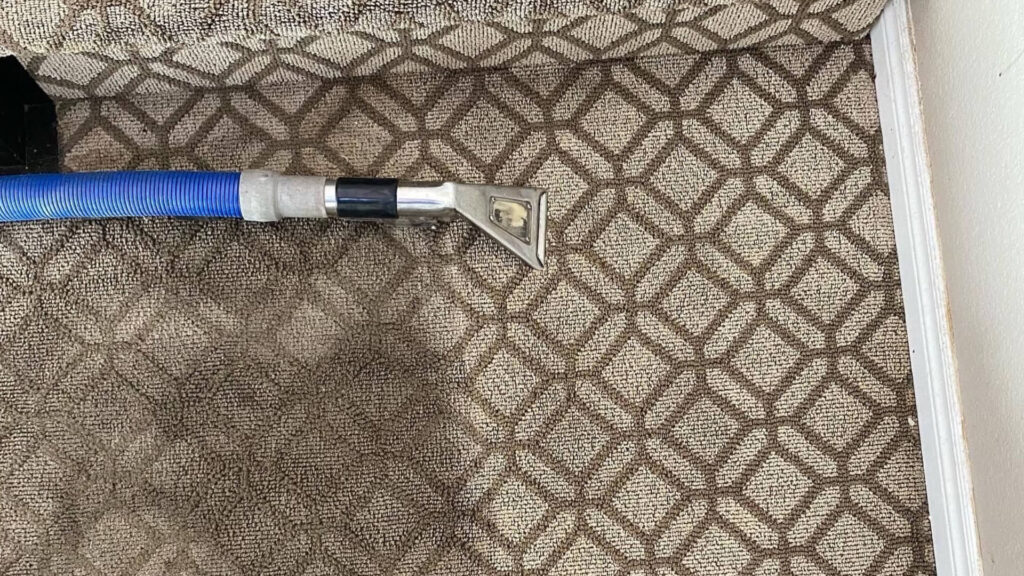 Stain Carpet