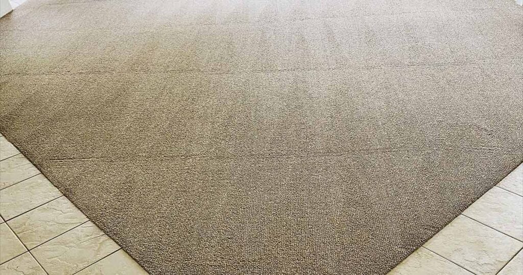 Homemade Carpet Cleaner