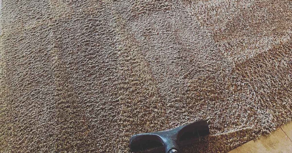 Carpet Mold Cleaning