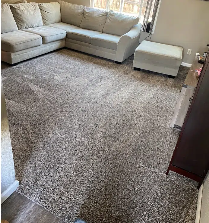 Spot Clean Carpet