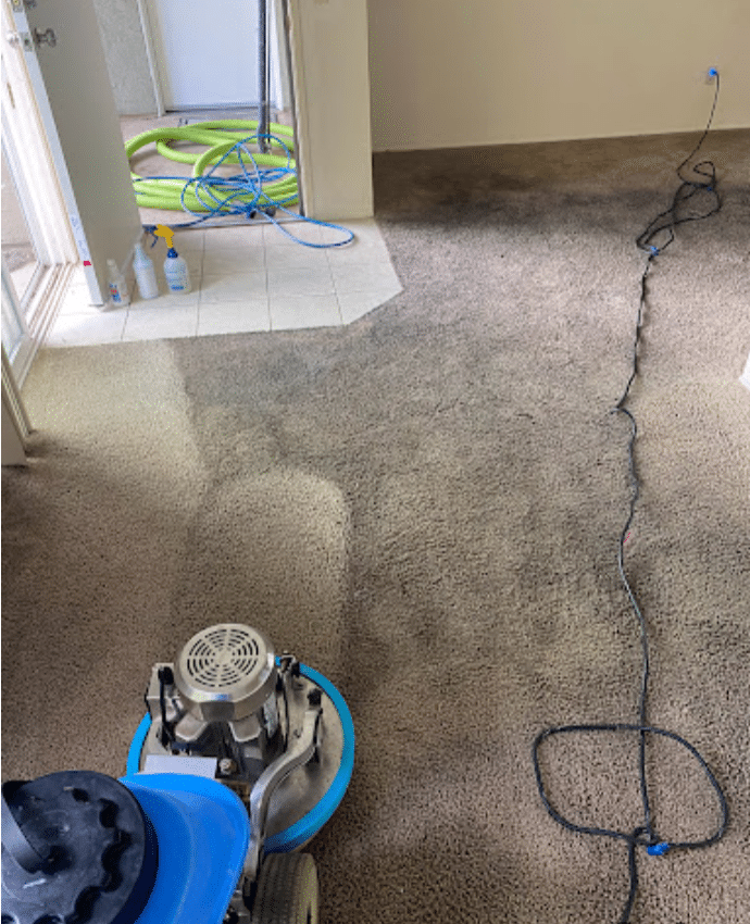 Apartment Carpet Cleaning