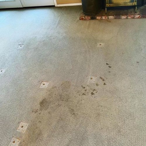 Spot Cleaning Carpet