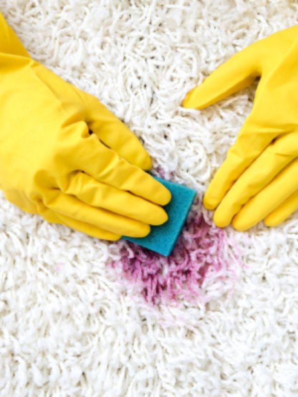 Carpet Cleaning Bleach