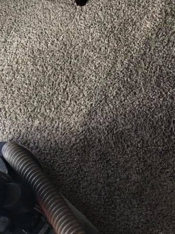 Carpet Cleaners Company